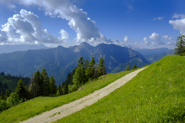 Deutschland, Bayern, Oberbayern, Ruhpolding, Chiemgau, Blick vom Rauschberg zum Sonntagshorn - LBF02010