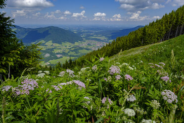 Deutschland, Bayern, Oberbayern, Chiemgau, Unternberg, Blick auf Ruhpolding - LBF02012