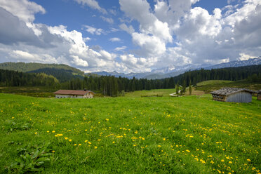 Germany, Bavaria, Upper Bavaria, Chiemgau, Winklmoosalm, Steinplatte and Loferer Steinberge - LBF02015