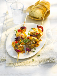 Grill skewer, chicken meat, onion, paprika, sauce, thyme - KSWF01958