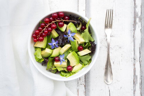 Gemischter Salat mit Avocado, roten Johannisbeeren und Borretschblüten - LVF07208