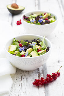 Gemischter Salat mit Avocado, roten Johannisbeeren und Borretschblüten - LVF07209