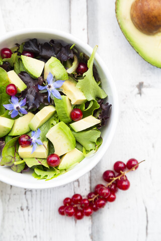 Gemischter Salat mit Avocado, roten Johannisbeeren und Borretschblüten, lizenzfreies Stockfoto