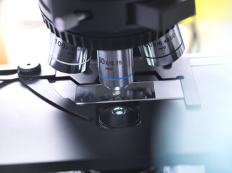 Biomedizinische Forschung, Nahaufnahme eines Objektträgers mit einer menschlichen Gewebeprobe, Mikroskop - ABRF00155