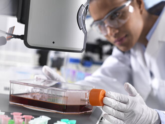 Biomedizinische Forschung, Wissenschaftlerin betrachtet die Entwicklung von Stammzellen in einem Kulturgefäß während eines Experiments im Labor - ABRF00168