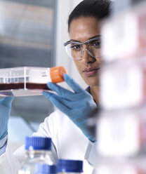 Biomedical Research, female scientist viewing stem cells developing in a culture jar during an experiment in the laboratory - ABRF00170