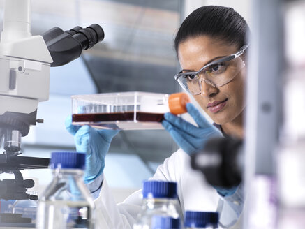 Biomedizinische Forschung, Wissenschaftlerin betrachtet die Entwicklung von Stammzellen in einem Kulturgefäß während eines Experiments im Labor - ABRF00171