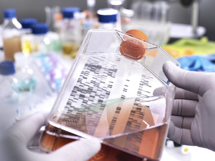 Stammzellenforschung, Wissenschaftler hält ein Kulturgefäß mit einem DNA-Gel im Hintergrund - ABRF00195