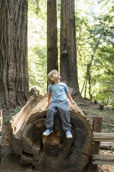 Junge sitzt auf einem Baumstamm, Muir Woods, Kalifornien, USA - ISF15751