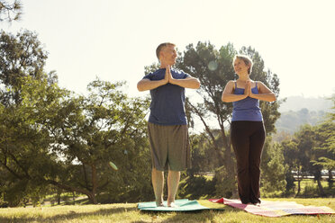 Mature couple practicing yoga in park - ISF15759