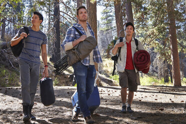 Drei junge Männer im Wald mit Campingausrüstung, Los Angeles, Kalifornien, USA - ISF15871