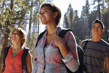 Drei junge erwachsene Freunde beim Wandern im Wald, Los Angeles, Kalifornien, USA - ISF15876