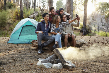 Four young adult friends taking smartphone selfie by campfire in forest, Los Angeles, California, USA - ISF15887