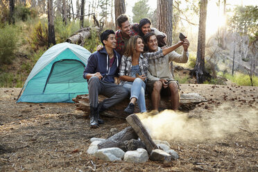 Vier junge erwachsene Freunde machen ein Smartphone-Selfie am Lagerfeuer im Wald, Los Angeles, Kalifornien, USA - ISF15887