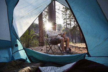 Junger männlicher Camper mit digitalem Tablet im Wald, Los Angeles, Kalifornien, USA - ISF15891