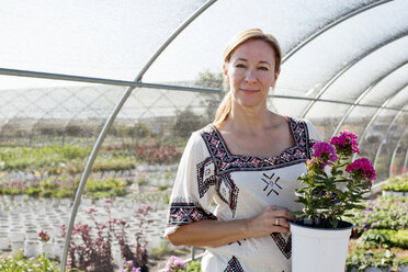 Porträt einer reifen Kundin mit einer Topfpflanze in einem Gärtnerei-Polytunnel - ISF15939