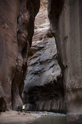 Der Narrows-Pfad, Zion-Nationalpark, Utah, USA - ISF15969