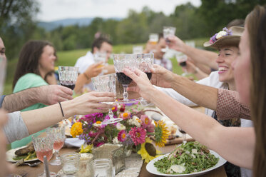 Familie und Freunde stoßen bei einer Mahlzeit im Freien an - ISF16003