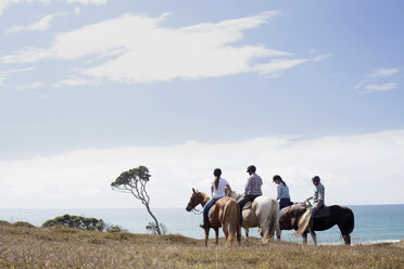 Reiten, Pakiri Beach, Auckland, Neuseeland - ISF16040