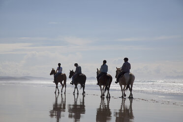 Reiten, Pakiri Beach, Auckland, Neuseeland - ISF16043