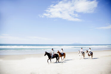 Reiten, Pakiri Beach, Auckland, Neuseeland - ISF16047