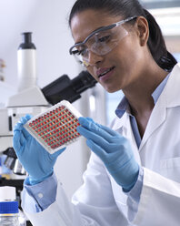 Wissenschaftlerin bei der Vorbereitung eines Multi-Well-Tabletts mit Blutproben für klinische Tests im Labor - ABRF00211