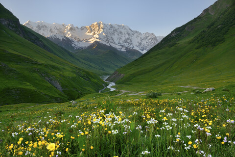 Blick auf eine Wildblumenwiese und den Berg Shkhara, Dorf Ushguli, Svaneti, Georgien, lizenzfreies Stockfoto