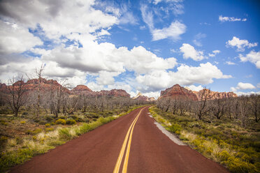 Zion, Utah, USA - ISF16333