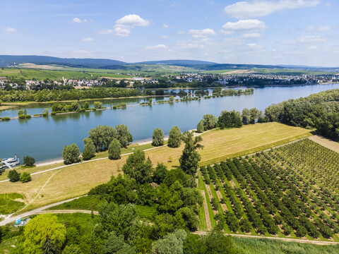 Deutschland, Rheinland-Pfalz, Luftaufnahme von Heidesheim am Rhein, Rhein und Eltville, lizenzfreies Stockfoto
