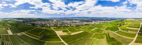 Deutschland, Rheinland-Pfalz, Ingelheim, Luftaufnahme über Weinberge, lizenzfreies Stockfoto