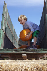 Boy carrying pumpkin on cart - ISF16345