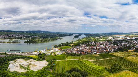 Deutschland, Rheinland-Pfalz, Region Bingen, Rochusberg, Luftaufnahme von Kempen am Rhein und Rüdesheim am Rhein - AMF05800