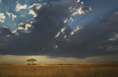 Gewitterwolken über der Ebene, Etosha-Nationalpark, Namibia - CUF38945