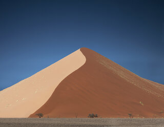 Entfernte Bäume und riesige Sanddüne, Sossusvlei National Park, Namibia - CUF38956