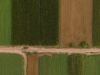 Serbien, Vojvodina, Luftaufnahme von Mais-, Weizen- und Sojafeldern im Spätsommer nachmittags - NOF00062