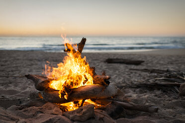 Bonfire burning on beach - ISF16526