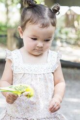 Baby girl holding budgerigar parakeet at zoo - ISF16527
