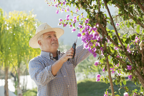 Älterer Mann bei der Gartenarbeit im Freien - CUF39190