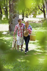 Ehepaar mit Picknickkorb im Park - CUF39229