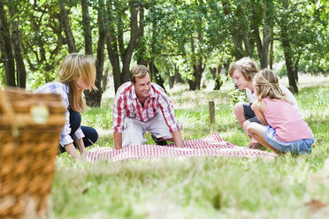 Familie beim Picknick im Park - CUF39231