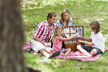 Familie beim Picknick im Park - CUF39305