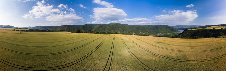 Deutschland, Rheinland-Pfalz, Region Bingen, Henschhausen am Rhein, Panoramablick auf Getreidefelder - AMF05814