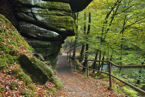 Tschechien, Böhmische Schweiz, Ticha Souteska, Wanderweg in der Edmundsklamm - RUEF01902