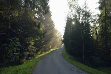 Empty country road through forest at twilight on misty day - RUEF01905