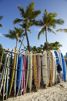 Reihe von Surfbrettern am Strand, Waikiki, Oahu, Hawaii, USA - ISF16865