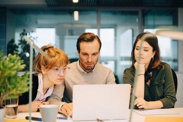 Female colleagues looking at businessman using laptop while sitting at desk in creative office - MASF08257