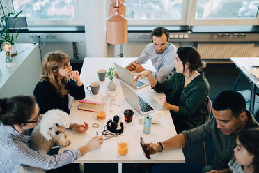 High angle view of business people sitting with boy and dog at desk in creative office - MASF08289