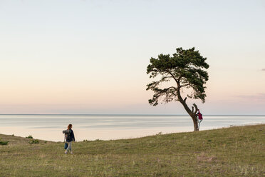 Full length of woman walking while girl climbing tree against sky during sunset - MASF08425