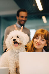 Low angle view of dog with smiling businesswoman against businessman standing at creative office - MASF08609