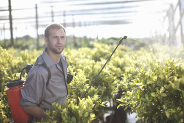 Junger Mann beim Sprühen von Pestiziden in einer Gärtnerei - CUF40124